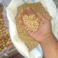 پخش عمده حتی کیلویی