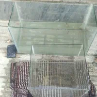 آکواریوم