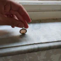 مدال شجر