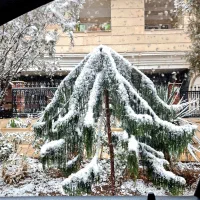 آپارتمان-90-متر-باغ-شهر-بلوار-آزادی-کوی-مهر