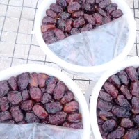 خرمای خاصویی درجه یک بهبهان تازه برداشت امسال