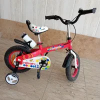 دوچرخه ۱۲ قناری، اسکیت واسکوتر