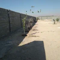 فروش زمین چهار دیواری