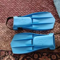 فین غواصی برند اینتکس Intex سایز ۳۵-۳۸|غواصی و ورزش‌های آبی|تهران, دروس|دیوار