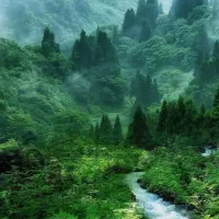 سرویس مدرسه