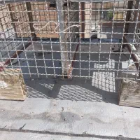 جفت کن آهنی کبوتر|لوازم جانبی حیوانات|نسیمشهر, |دیوار