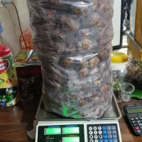 خرید و. فروش دنبل قرمز و سفید..