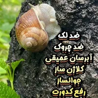 کرم حلزون|آرایشی، بهداشتی، درمانی|تهران, فرودگاه مهرآباد|دیوار