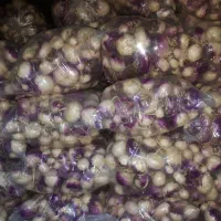 شلغم دزفول درجه یک