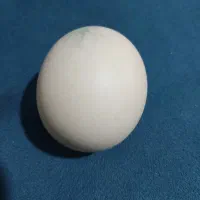 الماس آسیاب