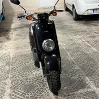 پاکشتی ژاپنی Voxوکس درحد خشک واقعی به شرط کارشناسی