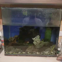 آکواریوم شیشه خم