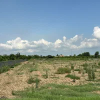 باغچه ۳۰۰ متری بر آسفالت / انشعابات پای ملک|فروش دفتر صنعتی، کشاورزی، تجاری|کیاکلا, |دیوار