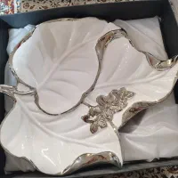 ظرف پذیرایی خارجی طرح برگ