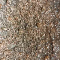 شهاب سنگ|کلکسیون اشیاء عتیقه|بستان آباد, |دیوار