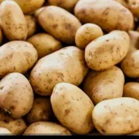 سیب زمینی درجه یک‌