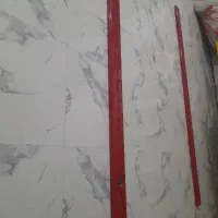 قفس دیواری گونیاه داره