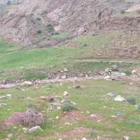 تور