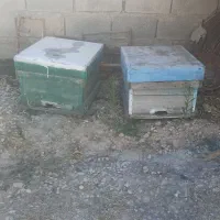 کندوی زنبور عسل