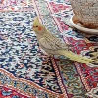 گمشده