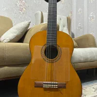 گیتار یاماها C40|گیتار، بیس، امپلیفایر|میناب, |دیوار