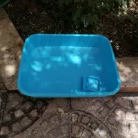 ظرف خاک گربه