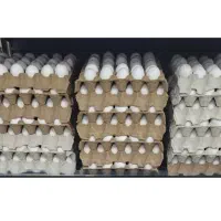 خریدار تخم مرغ گرم