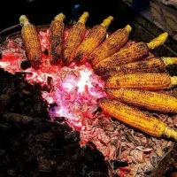 کارگر بساط پای منقل