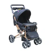 کاسکه برند دلیجان