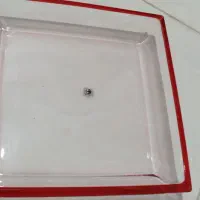 ظروف پذیرایی|ظروف سرو و پذیرایی|گلبهار, شهر جدید گلبهار|دیوار