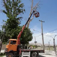 خدمات جرثقیل کفی و سبد دار