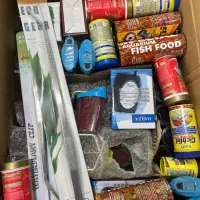 آکواریوم و‌ماهیان زینتی|ماهی|رامشیر, |دیوار