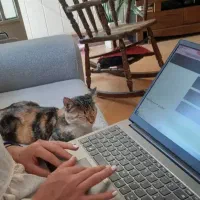 آموزش طراحی سایت به صورت پروژه محور