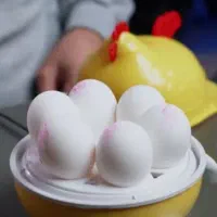 دستگاه تخم مرغ پز