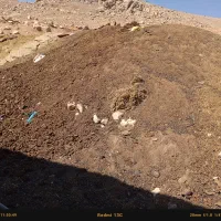 گود حیوانی به مقدار 50تریلی کهنه