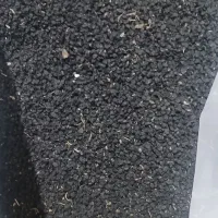 بذر پیار قرمز ۷۰.۳۰