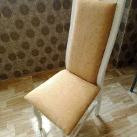 صندلی رستورانی نو