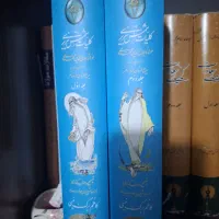 مجموعه دو جلدی کلیات شمس کاظم برگ نیسی