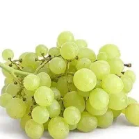 فروش انگور ارگانیک
