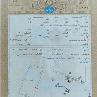 فروش زمین مسکونی با ۱۰ نفر نخل خرما در شهر سیب