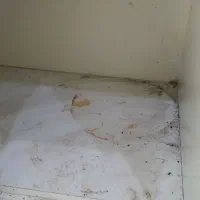 نمونه کار شستشو وپاکسازی