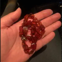 کهربا لهستان مهماندار