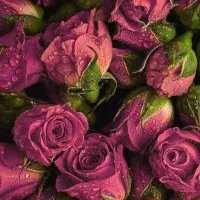 معلم غیردولتی