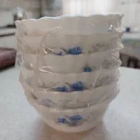 آبگوشت خوری و دیگر ظروف آرکوپال پارس اوپال آکبند|ظروف سرو و پذیرایی|تهران, صادقیه|دیوار