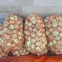 پیاز اصفهان