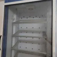 دستگاه جوجه کشی بلدرچین دماوند 924تایی