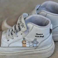 کفش نو|کیف، کفش، کمربند|ماکو, |دیوار