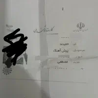 یک کارت پول و حاوی چند عدد کارت بانکی و کارت ملی