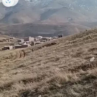 عالی براسرمایه گذاری فروش‌ زمین به صورت نقدواقساط.