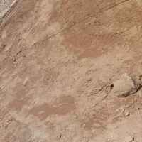 زمین مسکونی ..معاوضه با ماشین